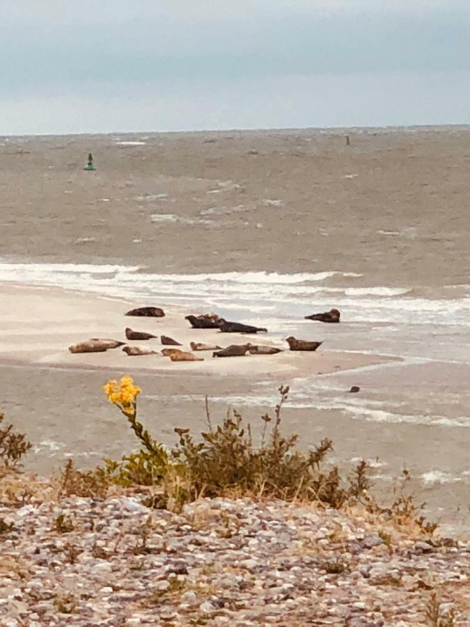 Le Parc Aux Huitres Hotel Cayeux-sur-Mer Buitenkant foto